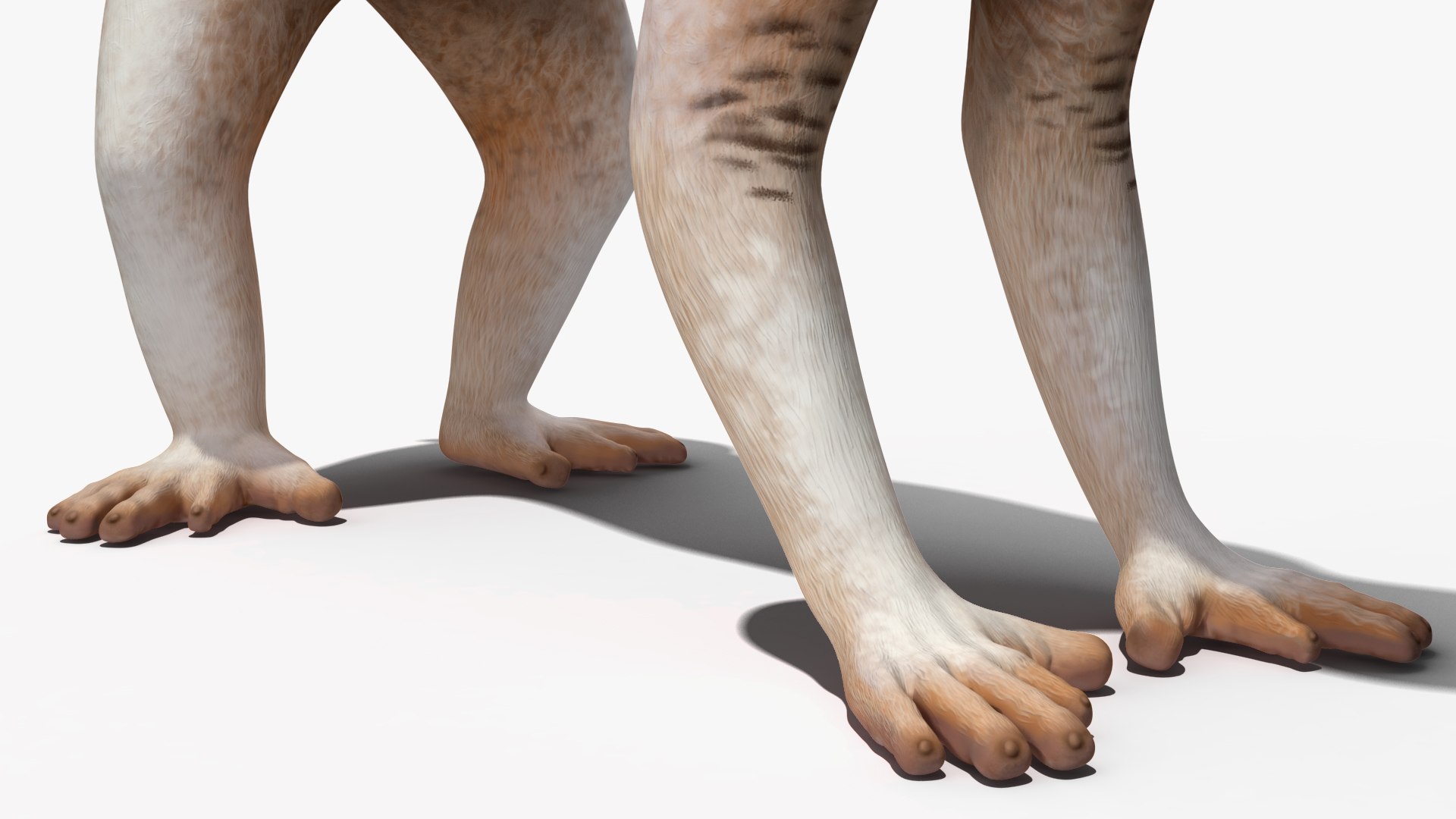 Bengal Slow Loris model https://p.turbosquid.com/ts-thumb/24/rVg0mn/fW/bengalslowloris3dmodel015/jpg/1698160787/1920x1080/fit_q87/c7d8e50f97eaf38aa1d9e571edae6893ecd46fe7/bengalslowloris3dmodel015.jpg