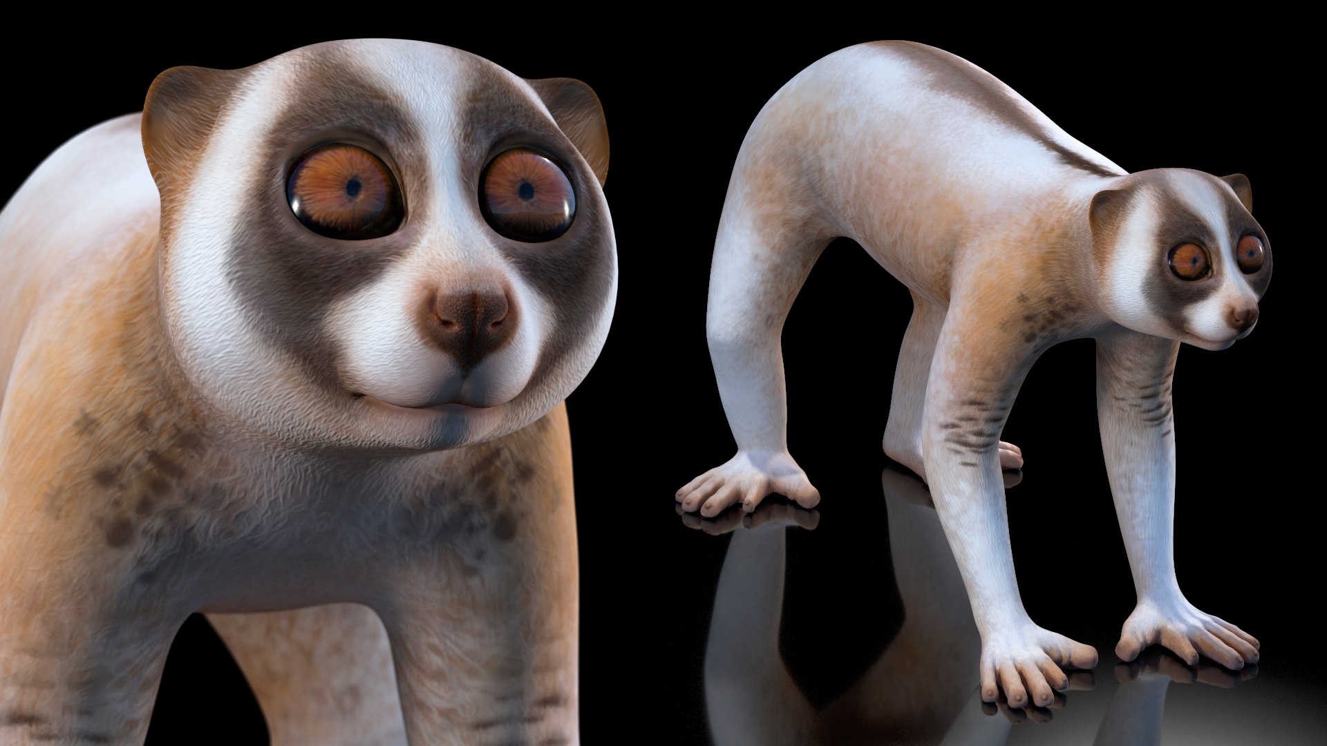Bengal Slow Loris model https://p.turbosquid.com/ts-thumb/24/rVg0mn/uB/bengalslowloris3dmodel006/jpg/1698160731/1920x1080/fit_q87/b8949b854d9d397acdf24643de3ebd4df0c3b4d6/bengalslowloris3dmodel006.jpg