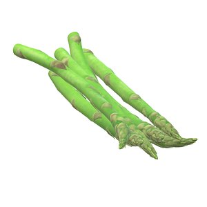 Asparagus 3D model