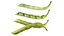 Broad bean pod