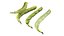 Broad bean pod