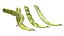 Broad bean pod