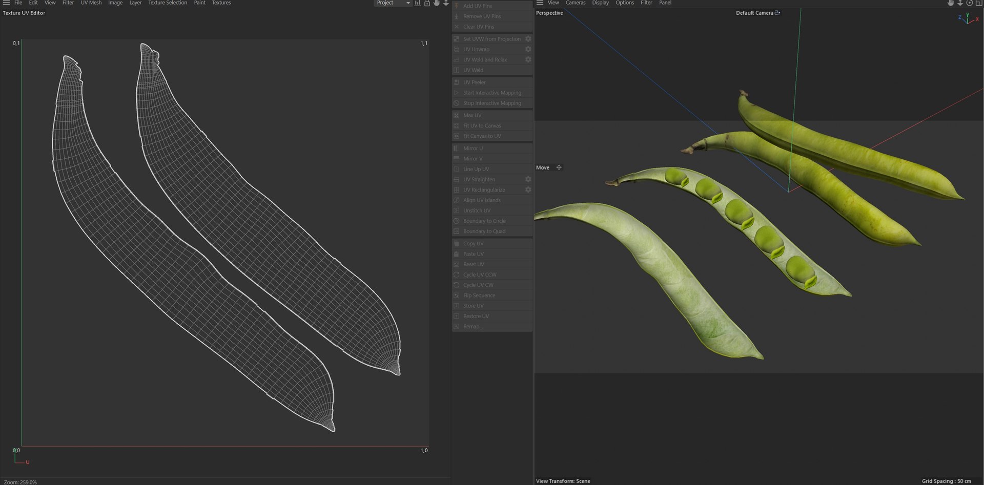 Broad bean pod 3D model https://p.turbosquid.com/ts-thumb/25/1JRBu7/gE/uv/jpg/1747141057/1920x1080/fit_q87/640fff2cfadd2acaebab0b681a60a9b7fe37734f/uv.jpg