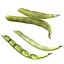 Broad bean pod