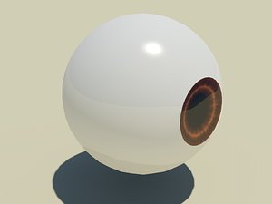 Eye