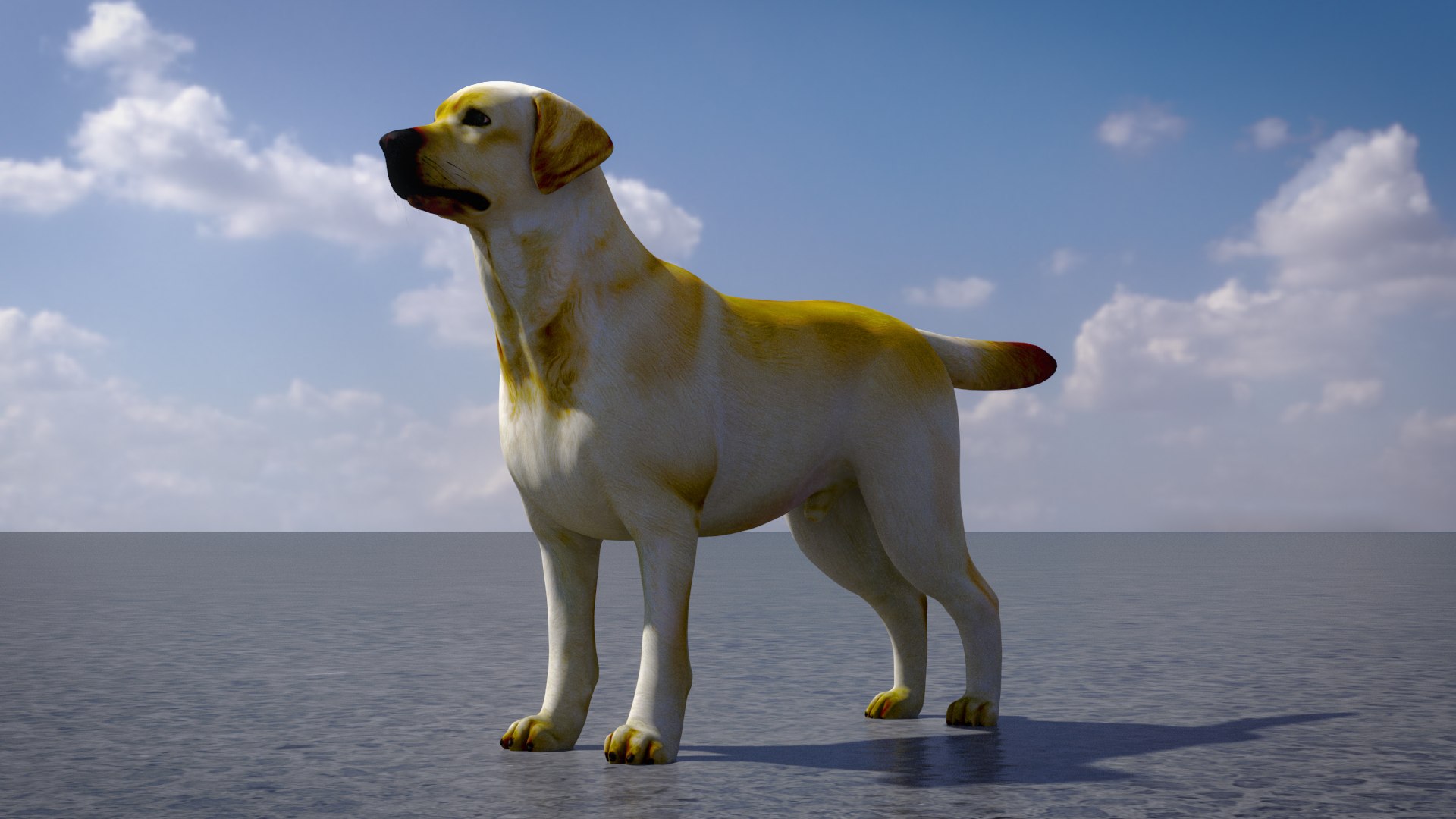 3D Labrador Retriever - TurboSquid 2349204