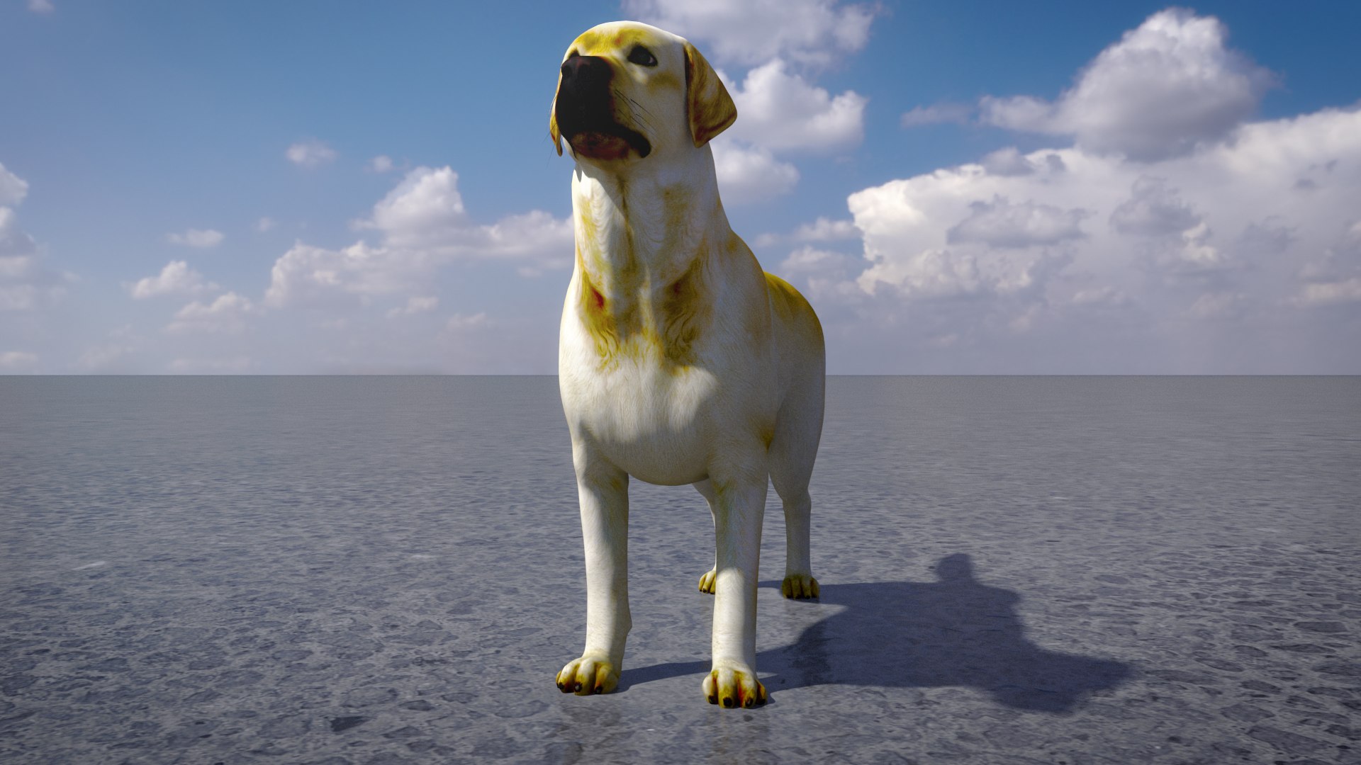 3D Labrador Retriever - TurboSquid 2349204