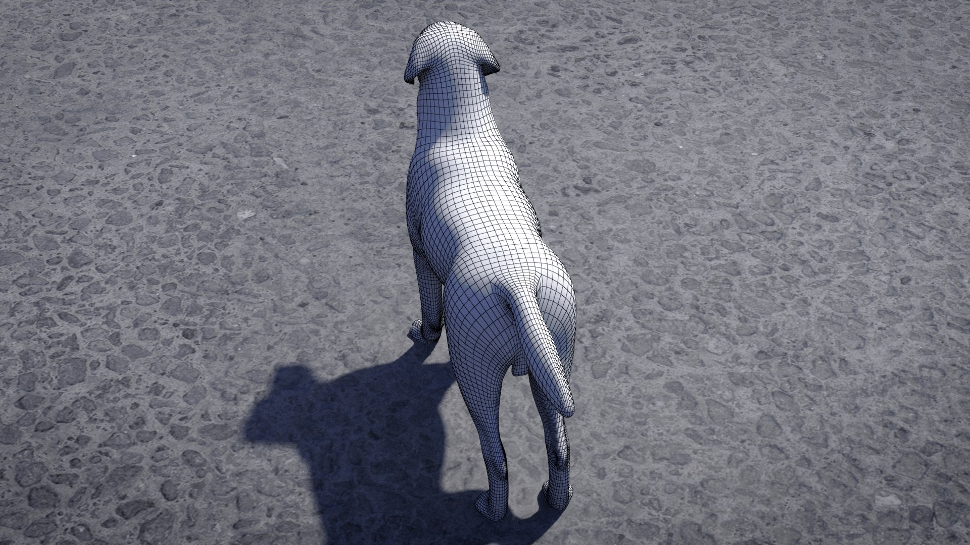 3D Labrador Retriever - TurboSquid 2349204