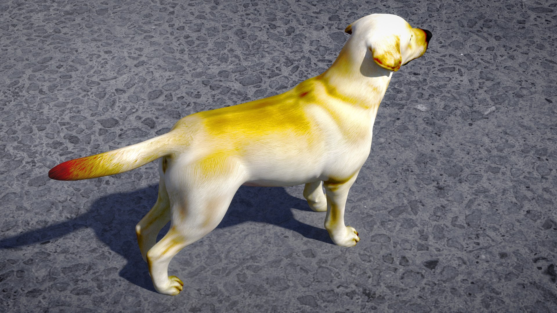 3D Labrador Retriever - TurboSquid 2349204