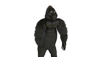 Stylized Gorilla Character