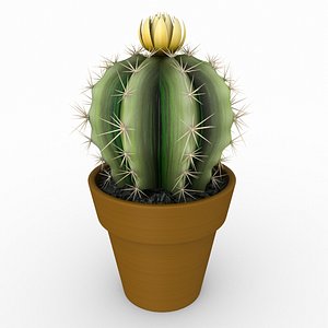 3d model cactus scanline