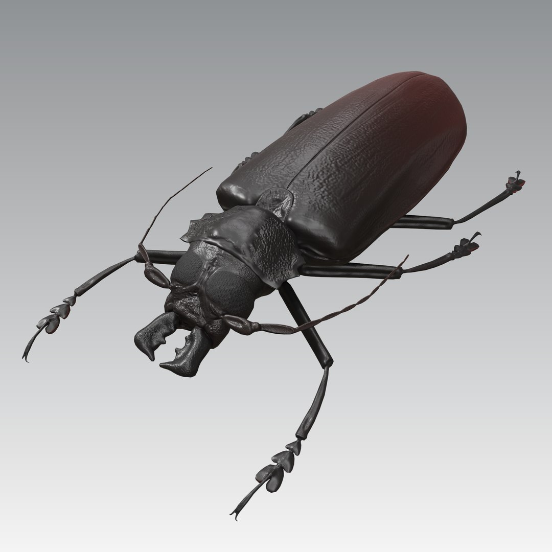 titan beetle