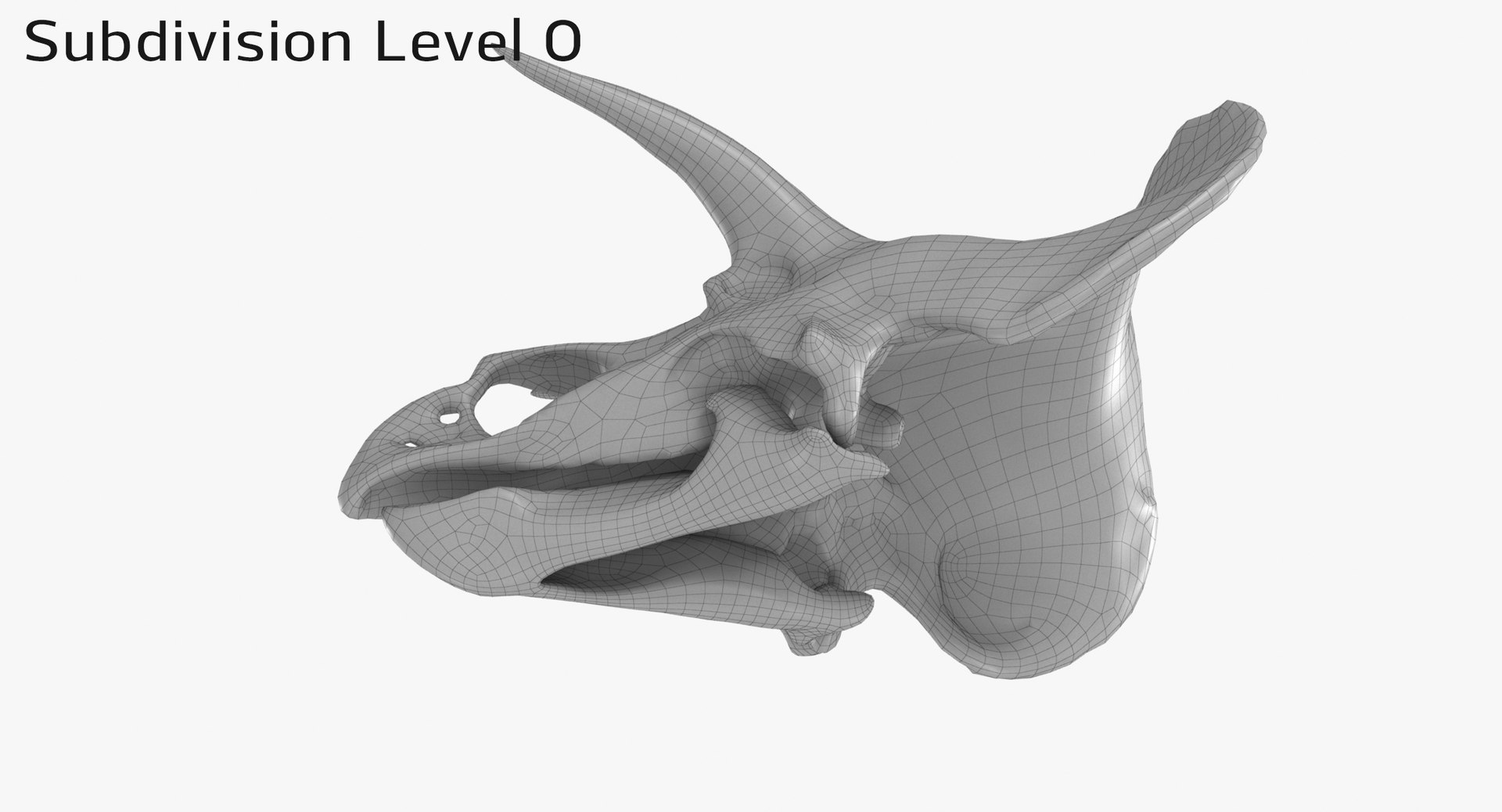 3D Triceratops Skull model https://p.turbosquid.com/ts-thumb/25/fpvKWQ/3n/1350_sub00002/jpg/1667571583/1920x1080/fit_q87/5fc0ff771fe2d46c89db230bde068098d563cb6a/1350_sub00002.jpg