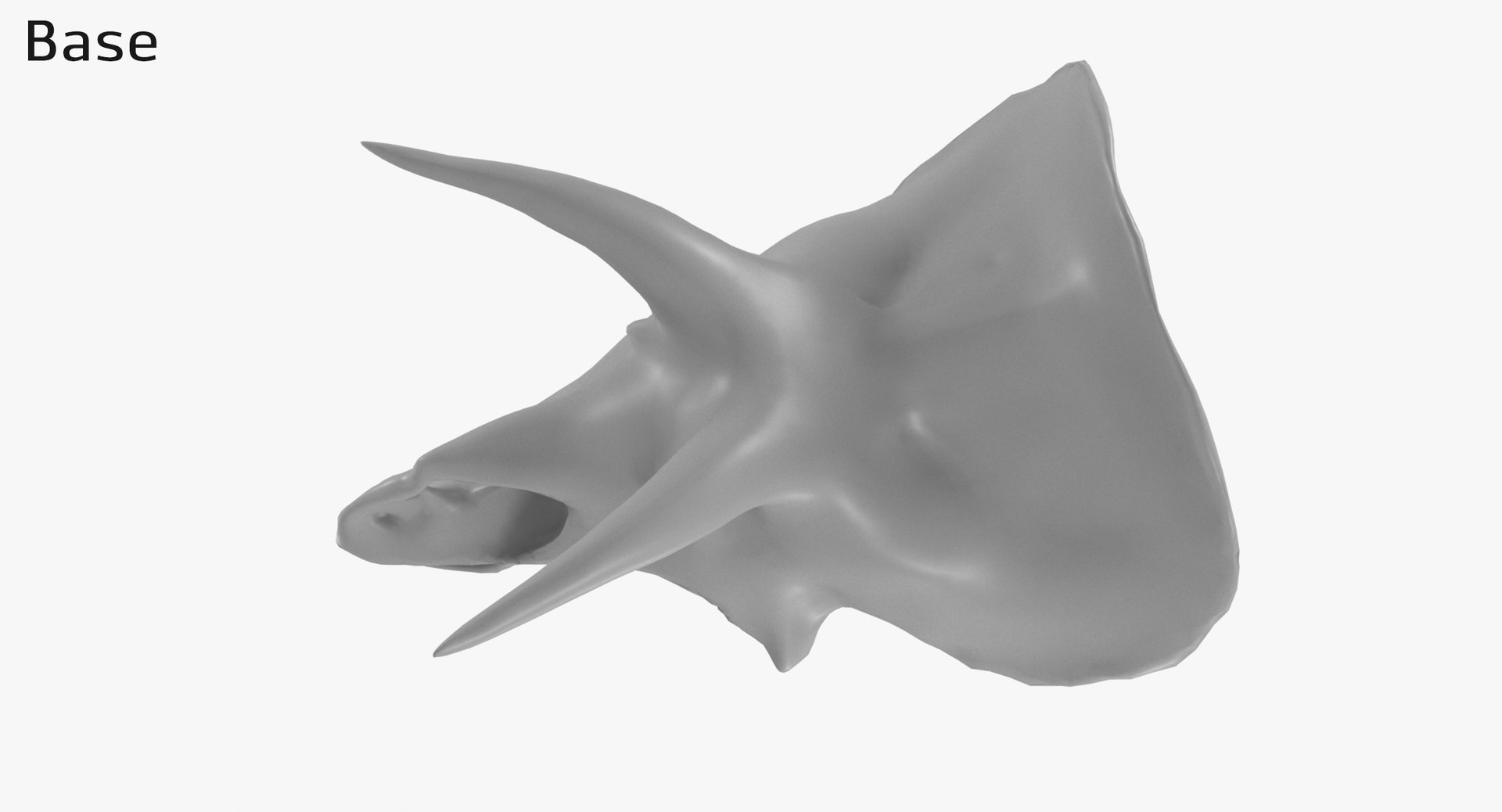 3D Triceratops Skull model https://p.turbosquid.com/ts-thumb/25/fpvKWQ/Ao/1350_base0003/jpg/1667571539/1920x1080/fit_q87/370978f27b87eb3bb7891bc45661a58f4c30a7e9/1350_base0003.jpg
