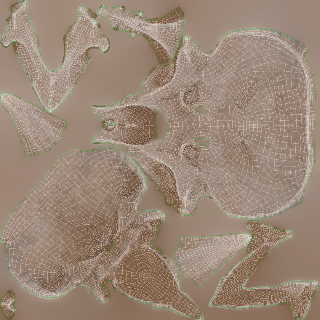 3D Triceratops Skull model https://p.turbosquid.com/ts-thumb/25/fpvKWQ/YW/1350_uv/jpg/1667571041/1920x1080/fit_q87/2ec06bb9f92cdcd78eee1b49d0c2dd0cd5ee2e36/1350_uv.jpg