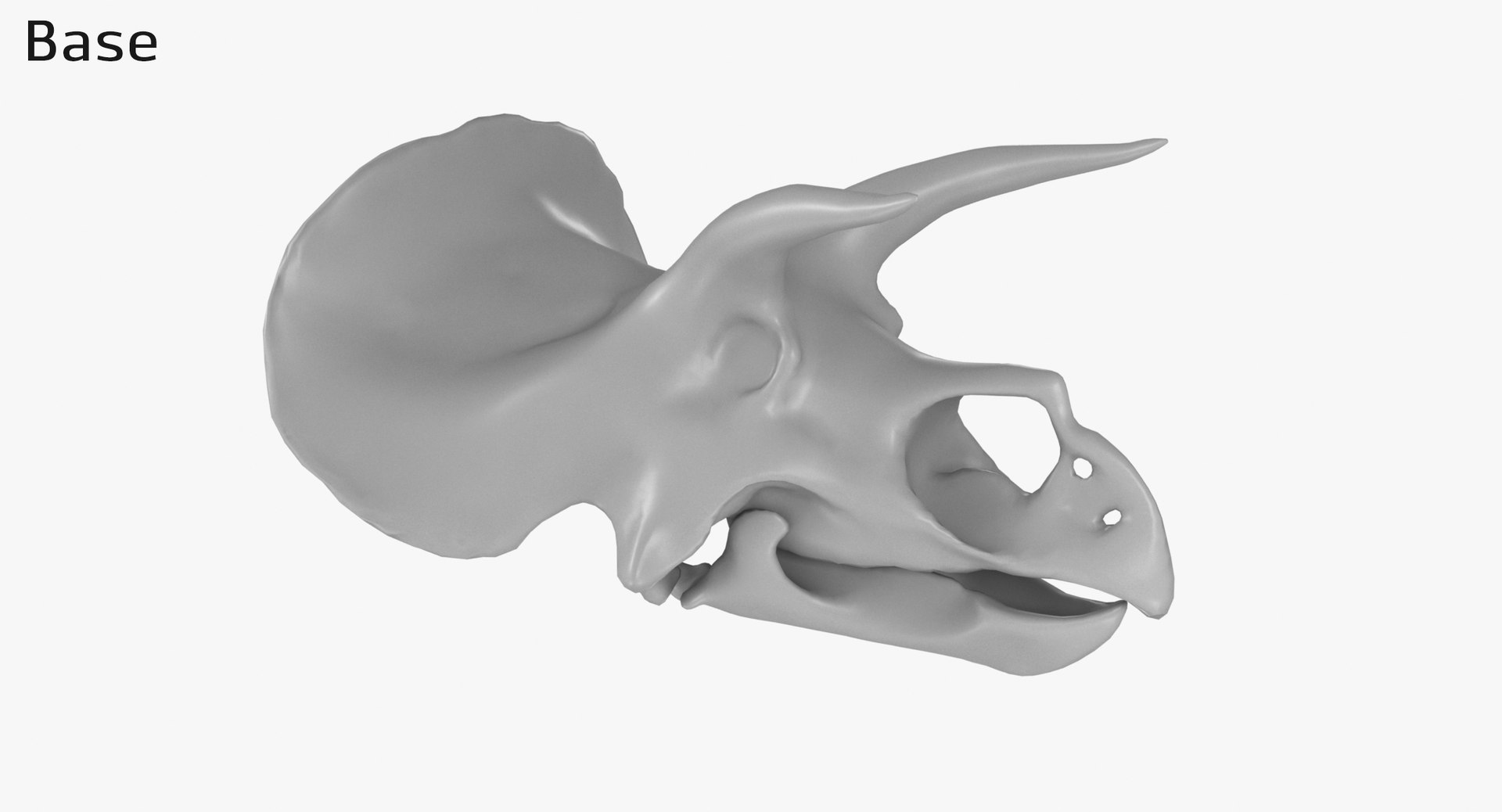 3D Triceratops Skull model https://p.turbosquid.com/ts-thumb/25/fpvKWQ/lZ/1350_base0001/jpg/1667571538/1920x1080/fit_q87/a55837698218b27a1f224d23682ebc6835734c11/1350_base0001.jpg