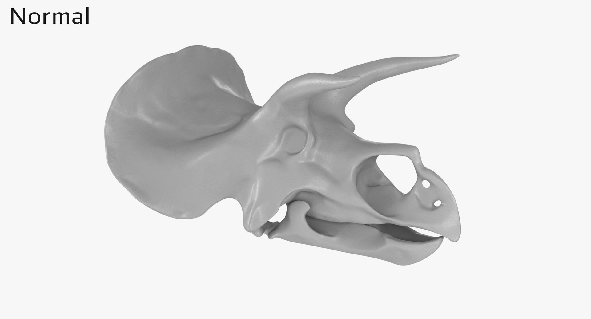 3D Triceratops Skull model https://p.turbosquid.com/ts-thumb/25/fpvKWQ/p7/1350_displ0001/jpg/1667571561/1920x1080/fit_q87/7bf5e739018b765b1b5c2dd4840803e33b862af2/1350_displ0001.jpg