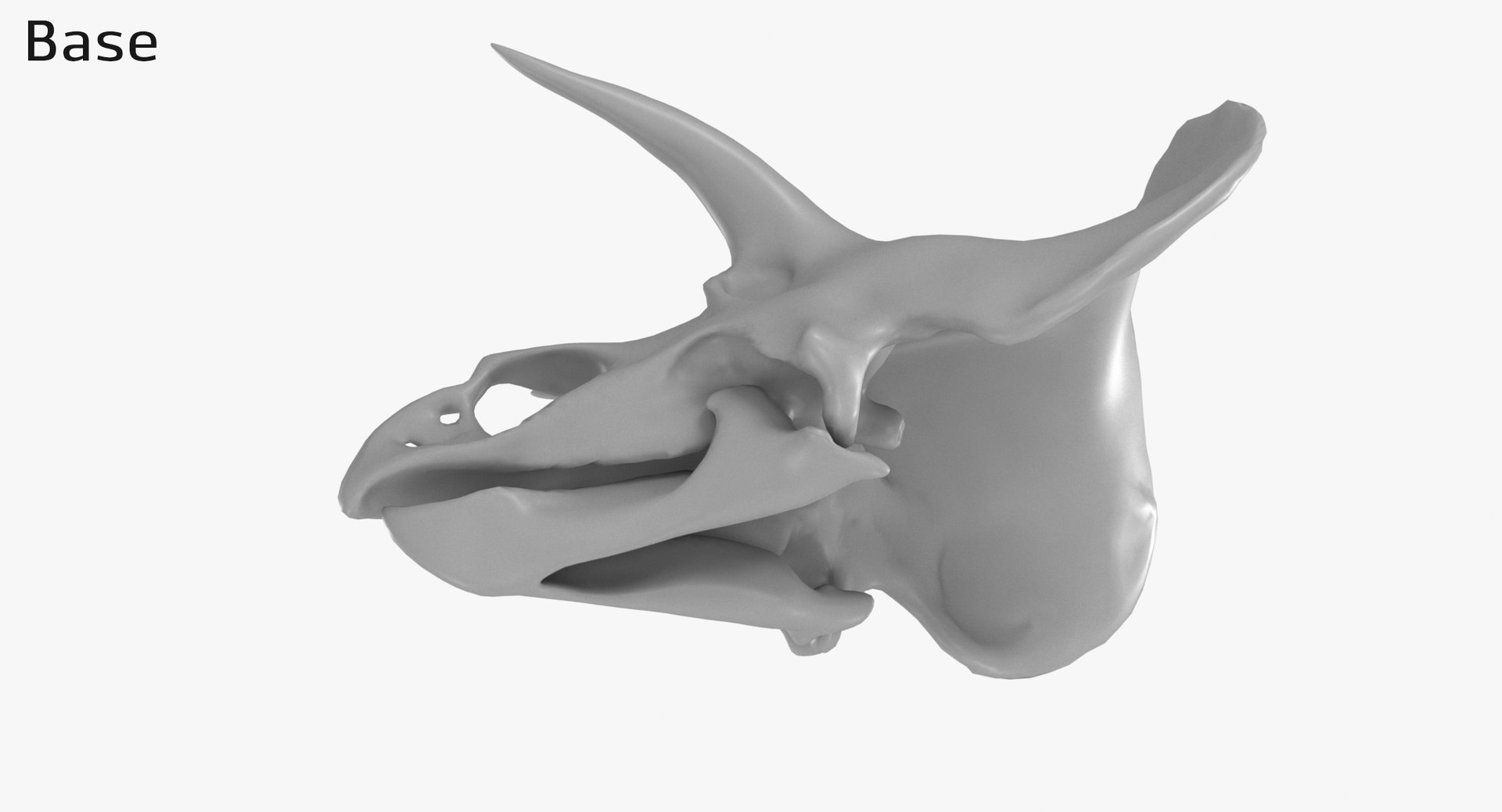 3D Triceratops Skull model https://p.turbosquid.com/ts-thumb/25/fpvKWQ/xj/1350_base0002/jpg/1667571538/1920x1080/fit_q87/af6c390f20dd0671bc2295a2506a1db949e37cf9/1350_base0002.jpg