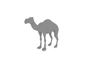 Realistic Camel with Skeleton and Muscle 3D model