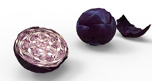 3D cabbage food vegetable