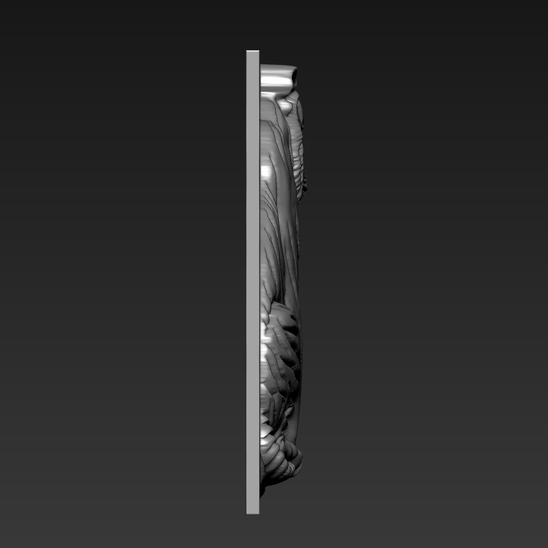 3D Tiger Bas-relief model https://p.turbosquid.com/ts-thumb/25/vuG4eZ/xK/a2_tiger4/png/1754027494/1920x1080/fit_q87/e6dd105db7bced3d77b785efae9e2a5fec83f109/a2_tiger4.jpg