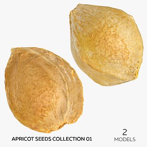 3D model Apricot Seeds Collection 01 - 2 models