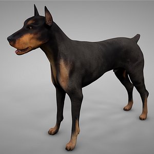 doberman rigged l615 animate 3D model