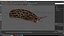 Slug Limax Maximums Crawling