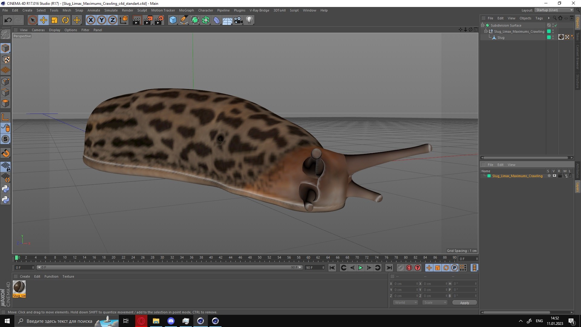 Slug Limax Maximums Crawling 3D https://p.turbosquid.com/ts-thumb/26/0Fpax9/6R/sluglimaxmaximumscrawling3dmodel035/jpg/1673616046/1920x1080/fit_q87/de52635f7dd2732796d14fb456be754693fee49f/sluglimaxmaximumscrawling3dmodel035.jpg