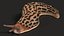 Slug Limax Maximums Crawling