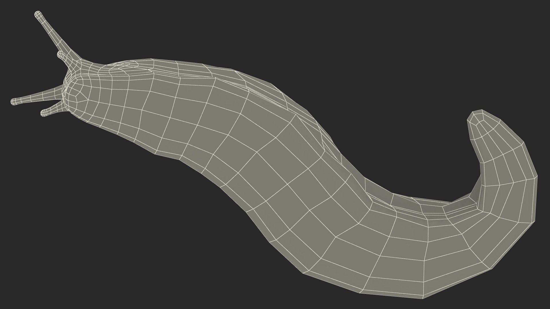 Slug Limax Maximums Crawling 3D https://p.turbosquid.com/ts-thumb/26/0Fpax9/Dm/sluglimaxmaximumscrawling3dmodel025/jpg/1673616036/1920x1080/fit_q87/28b74c9063b81d545c4a9b4c3c1e5bc2dc830b4e/sluglimaxmaximumscrawling3dmodel025.jpg