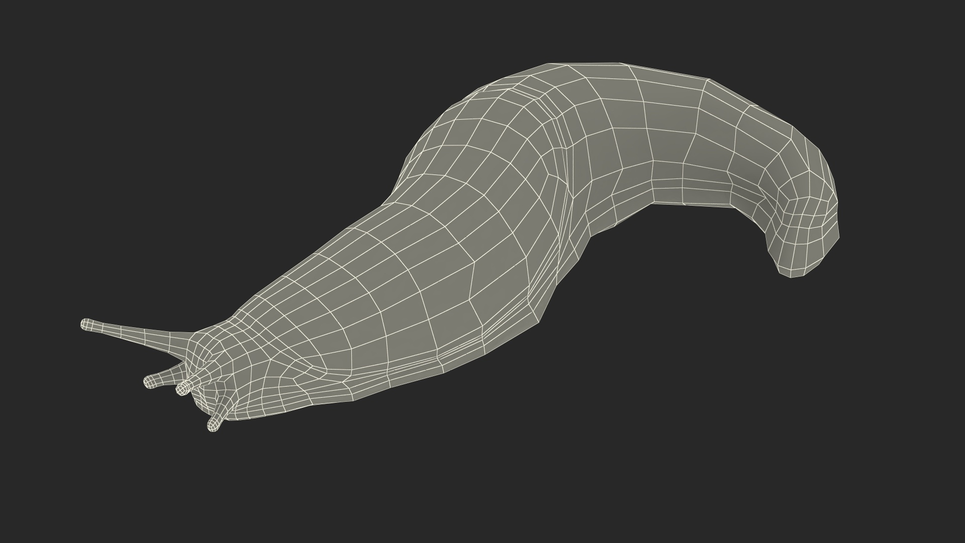 Slug Limax Maximums Crawling 3D https://p.turbosquid.com/ts-thumb/26/0Fpax9/S7/slug_limax_maximums_crawling_361/jpg/1673615804/1920x1080/turn_fit_q99/e378ad9ae8ecd3feecc0bdf164dafa193129a324/slug_limax_maximums_crawling_361-1.jpg