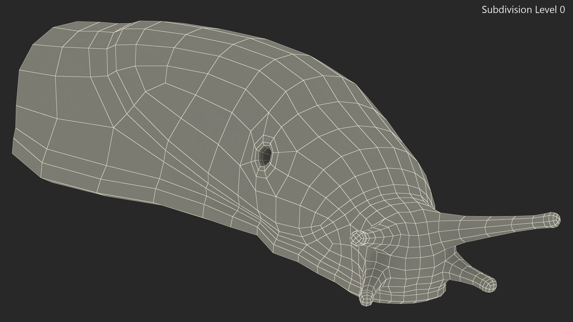 Slug Limax Maximums Crawling 3D https://p.turbosquid.com/ts-thumb/26/0Fpax9/Vi/sluglimaxmaximumscrawling3dmodel017/jpg/1673616011/1920x1080/fit_q87/a66185102c27fb0b0dfbb4fbdf0daeccf878d246/sluglimaxmaximumscrawling3dmodel017.jpg