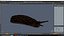 Slug Limax Maximums Crawling