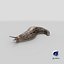 Slug Limax Maximums Crawling