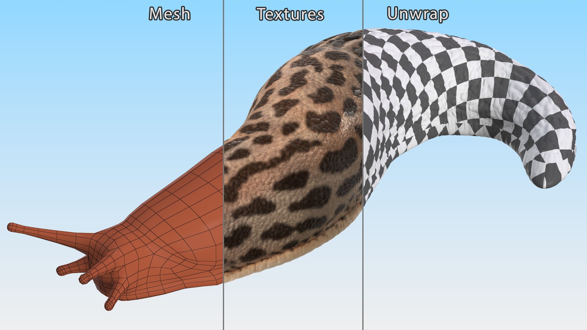 Slug Limax Maximums Crawling 3D https://p.turbosquid.com/ts-thumb/26/0Fpax9/rK/sluglimaxmaximumscrawling3dmodel016/jpg/1673616008/1920x1080/fit_q87/0c76aac0bb4788478cb119a0a069de4a5c3a3f82/sluglimaxmaximumscrawling3dmodel016.jpg