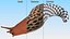 Slug Limax Maximums Crawling