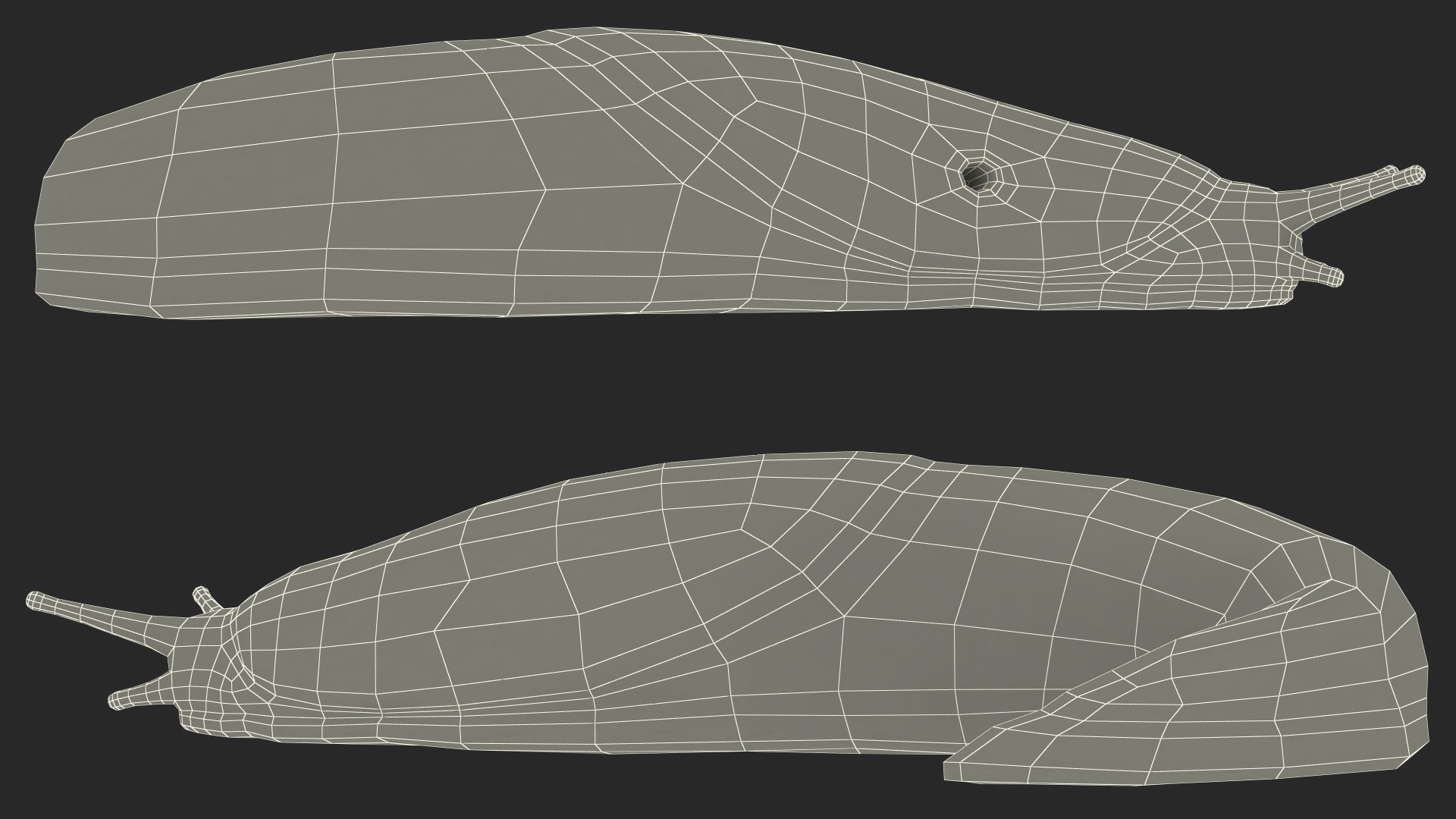 Slug Limax Maximums Crawling 3D https://p.turbosquid.com/ts-thumb/26/0Fpax9/wQ/sluglimaxmaximumscrawling3dmodel023/jpg/1673616030/1920x1080/fit_q87/09c8724ad102021ea01dc416c072ca4d413999c5/sluglimaxmaximumscrawling3dmodel023.jpg