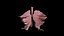 Origami human lungs unfolding growing animation