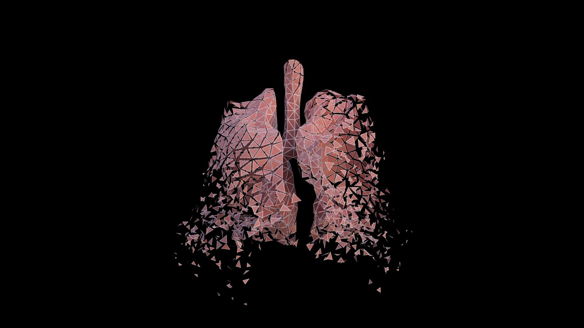 Origami human lungs unfolding growing animation 3D model https://p.turbosquid.com/ts-thumb/26/BYW8So/J2/preview06/jpg/1739052001/1920x1080/fit_q87/b523eb2a13b191b737392d9c6fe5a826113a6a79/preview06.jpg