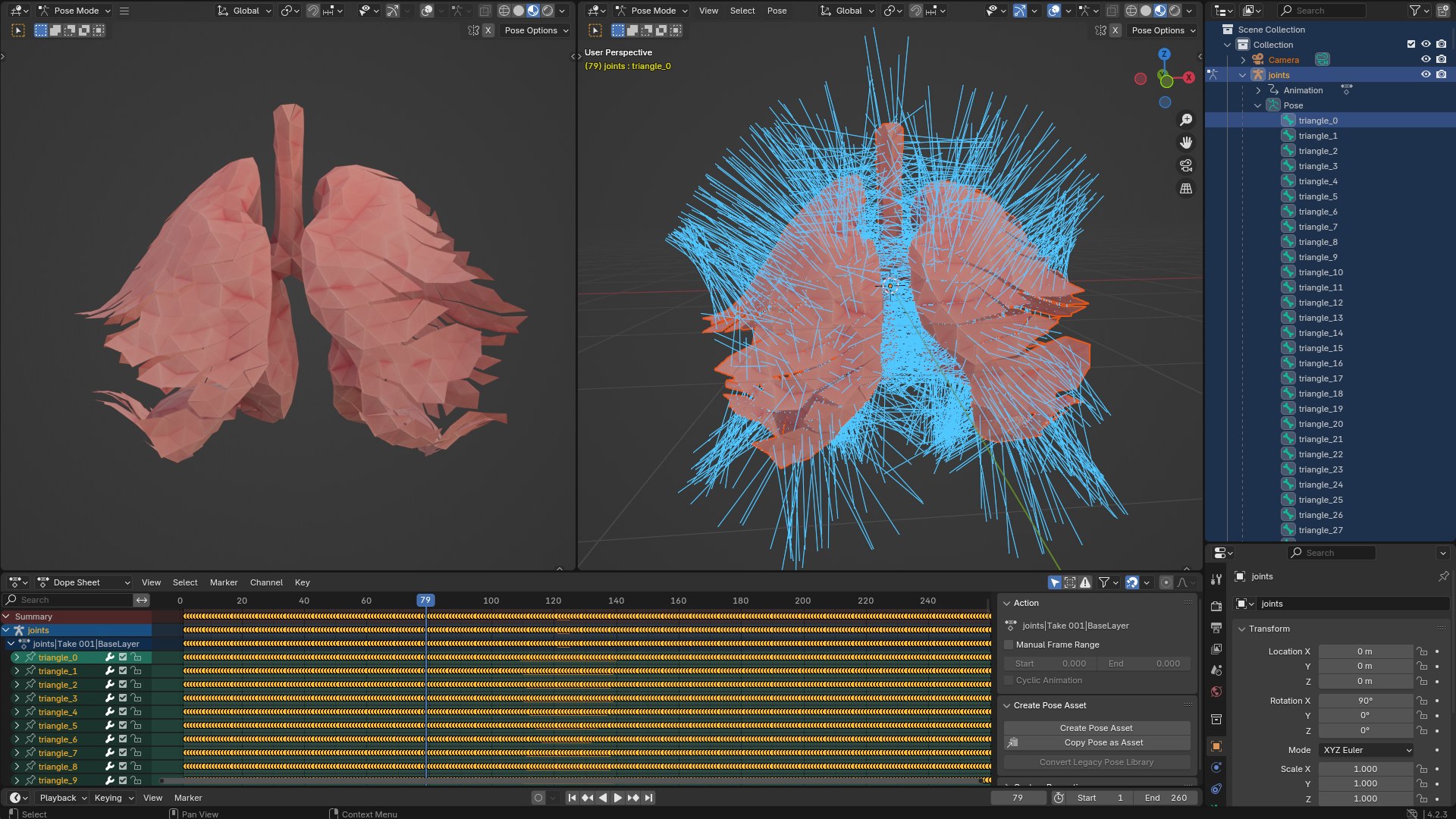 Origami human lungs unfolding growing animation 3D model https://p.turbosquid.com/ts-thumb/26/BYW8So/Nu/preview09/png/1739052005/1920x1080/fit_q87/95cfbf1c47c5e63f787775fc5730f7ba44ee57cf/preview09.jpg
