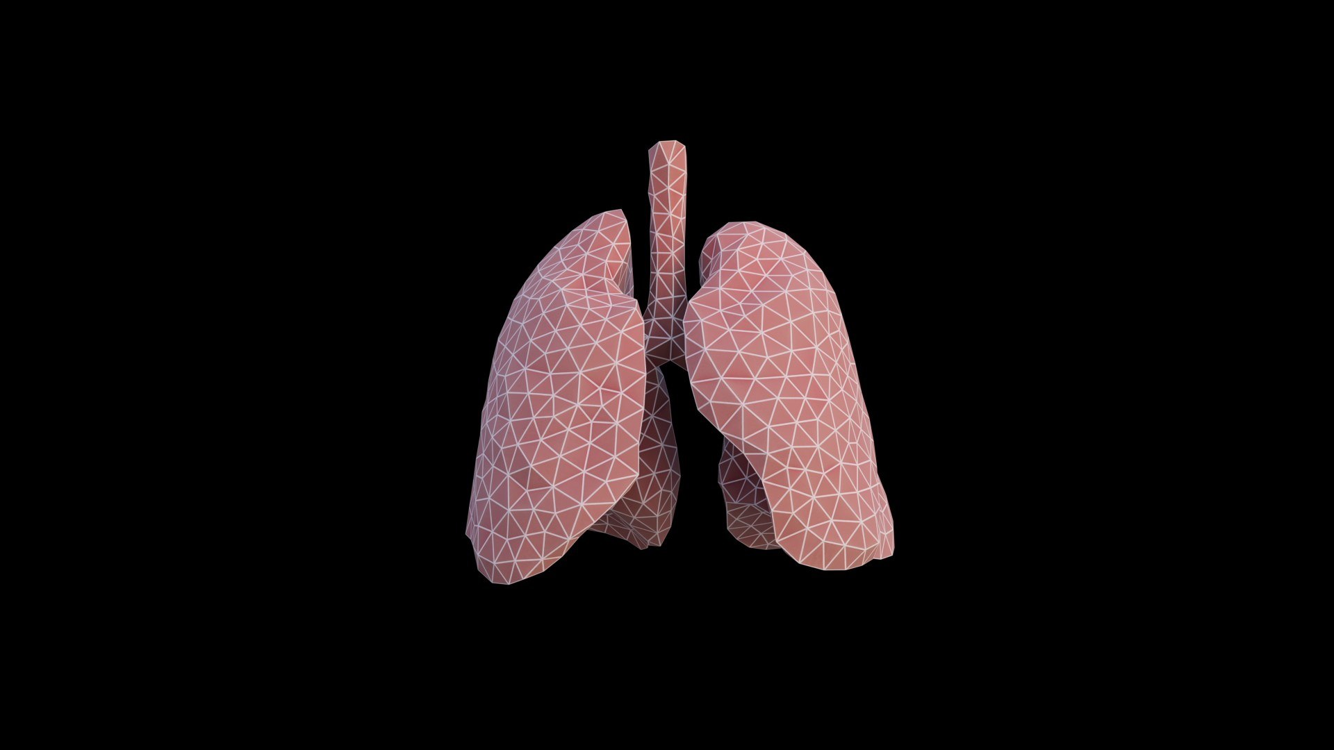 Origami human lungs unfolding growing animation 3D model https://p.turbosquid.com/ts-thumb/26/BYW8So/WA/preview04/jpg/1739052000/1920x1080/fit_q87/1fb1ff38f30001f65b6d8268d345fc57c0f24c74/preview04.jpg