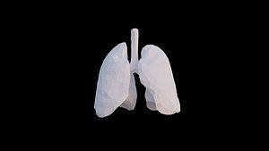 Origami human lungs unfolding growing animation