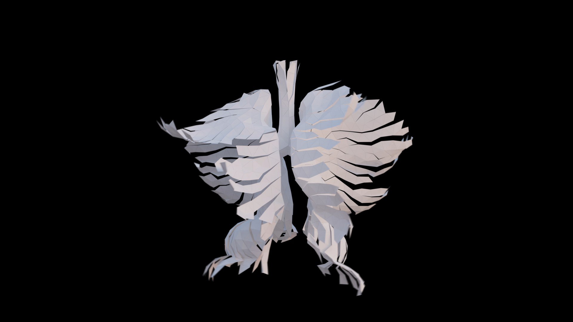 Origami human lungs unfolding growing animation 3D model https://p.turbosquid.com/ts-thumb/26/BYW8So/Zb/preview02/jpg/1739051999/1920x1080/fit_q87/b12bfe37ebd7836f7868300f2e25eb987cd2c609/preview02.jpg