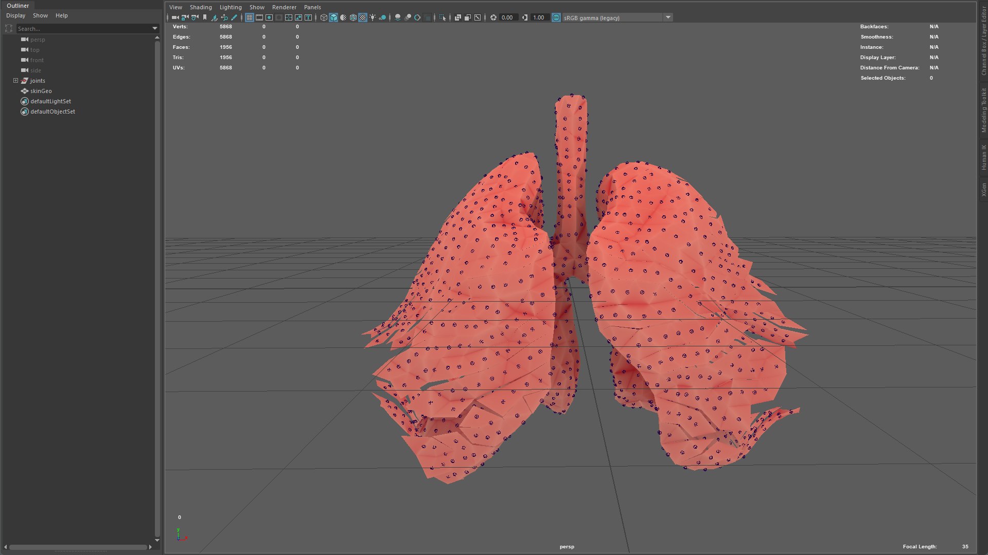 Origami human lungs unfolding growing animation 3D model https://p.turbosquid.com/ts-thumb/26/BYW8So/eP/preview10/png/1739052004/1920x1080/fit_q87/52cc0c3d4f3869a1fdb618f232d24f2fe6b1a302/preview10.jpg