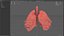 Origami human lungs unfolding growing animation