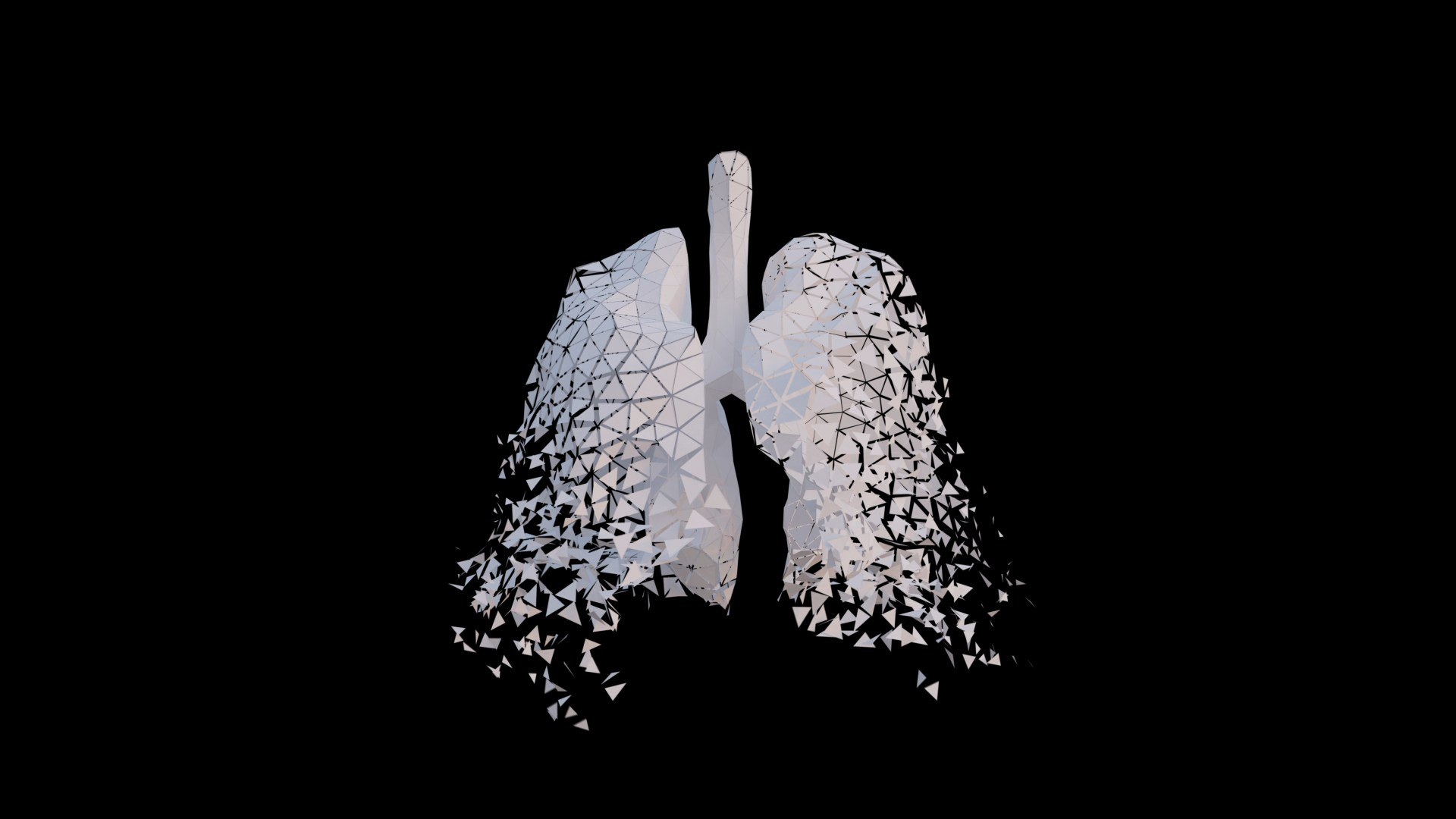 Origami human lungs unfolding growing animation 3D model https://p.turbosquid.com/ts-thumb/26/BYW8So/gD/preview03/jpg/1739051999/1920x1080/fit_q87/2722ec8d31588b2f3bc21bd7be28bc87c4db8299/preview03.jpg