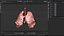 Origami human lungs unfolding growing animation
