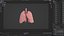 Origami human lungs unfolding growing animation