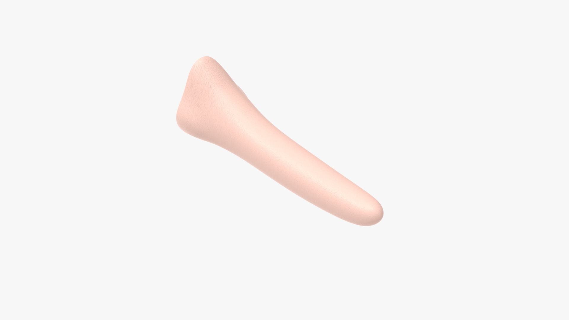 Hilarious Long Nose 3D Model - TurboSquid 1583028